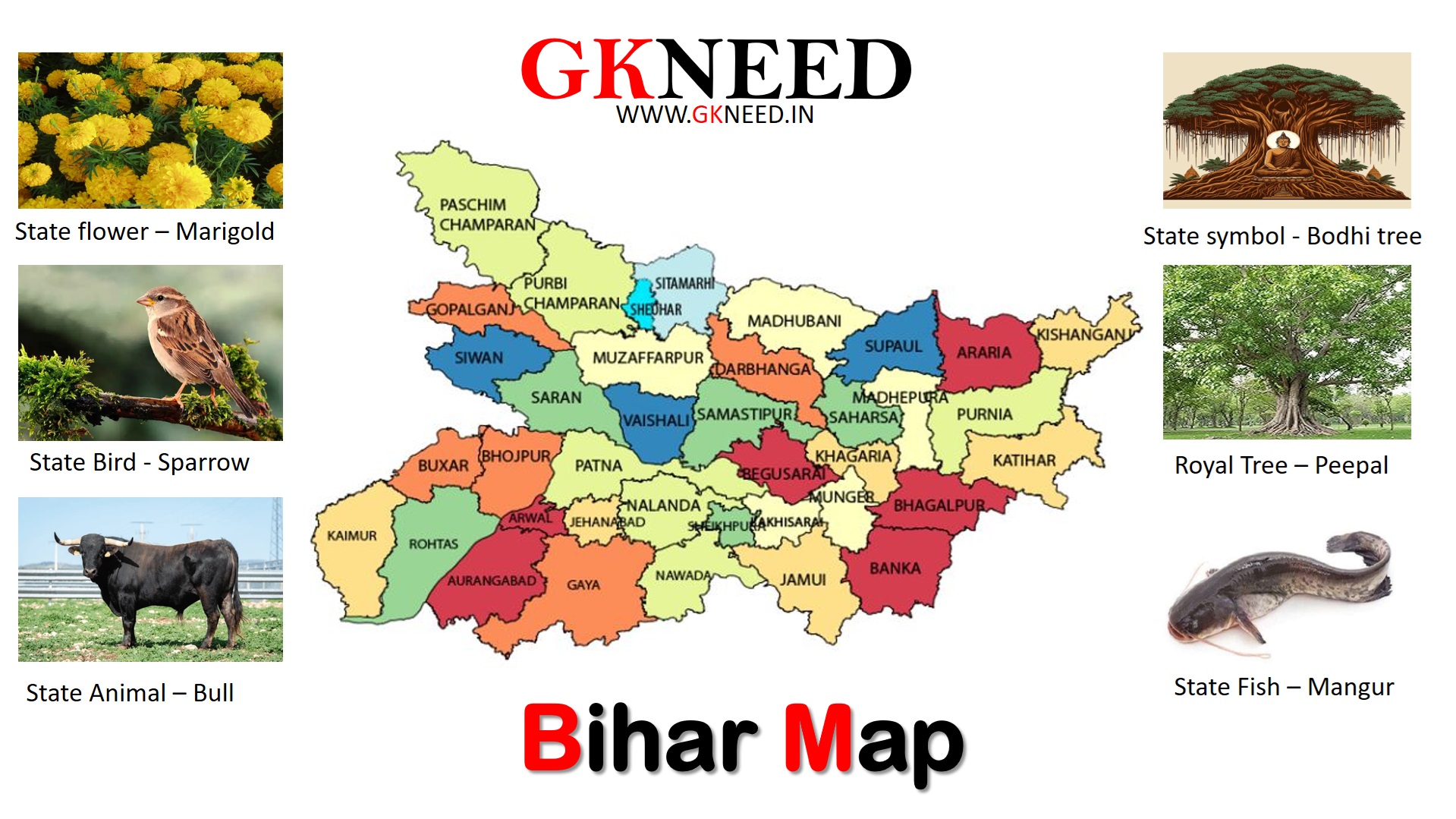 Best 100+ Bihar Gk For All Competitive Exams 2025